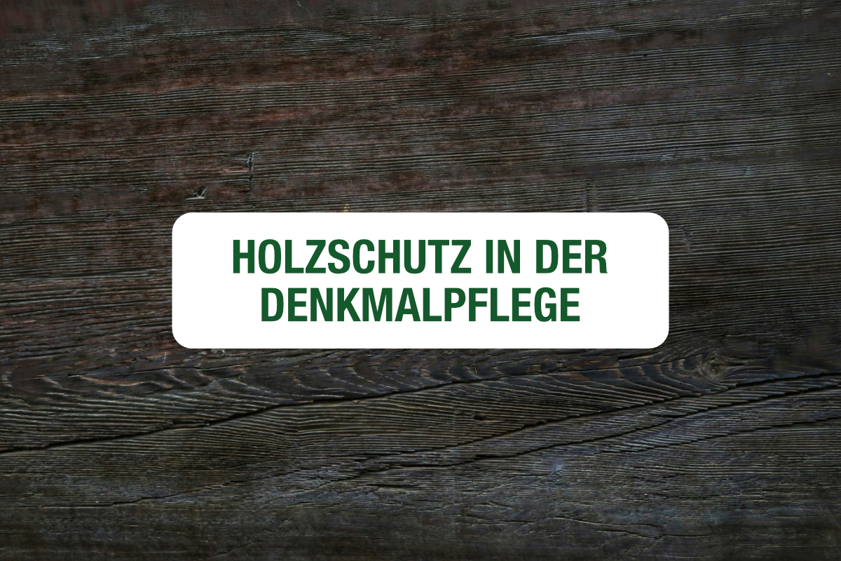 Fachlehrgang Holzschutz in der Denkmalpflege 2026 featured image