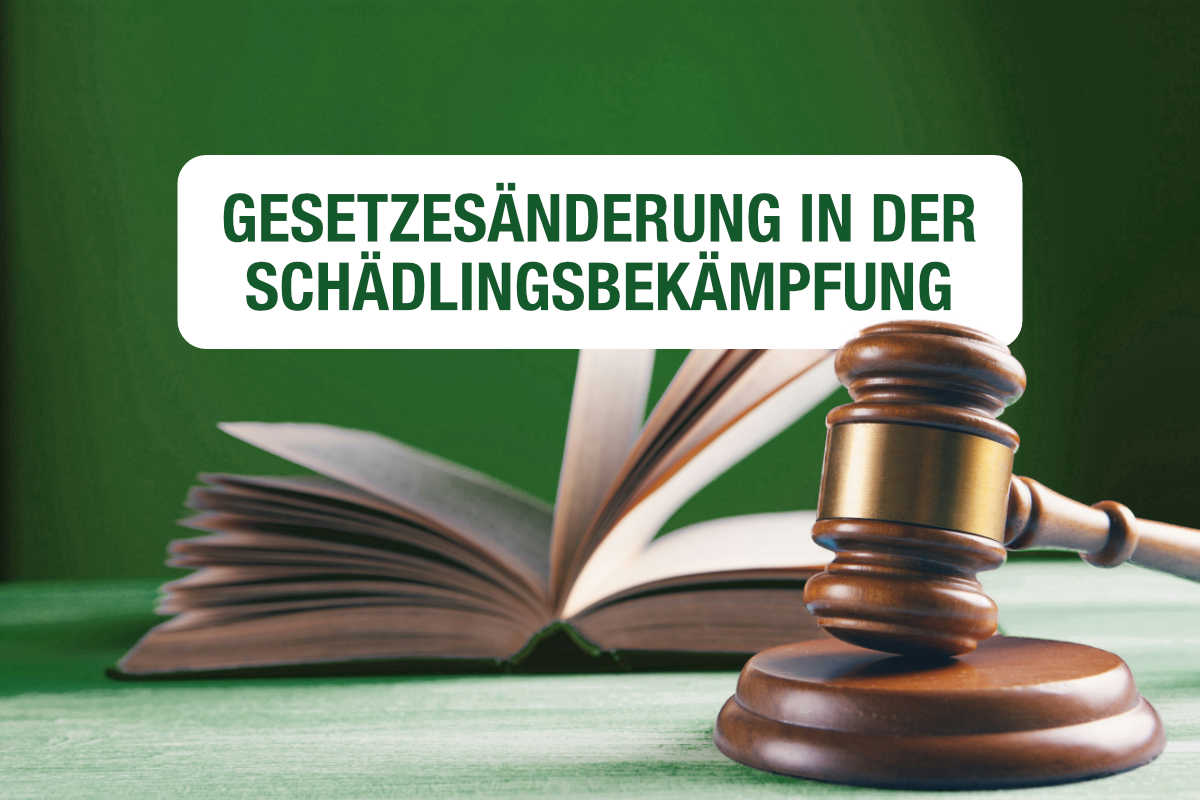 Wichtige Neuregelung: Änderungen bei der Schädlingsbekämpfung ab Juli 2026 featured image